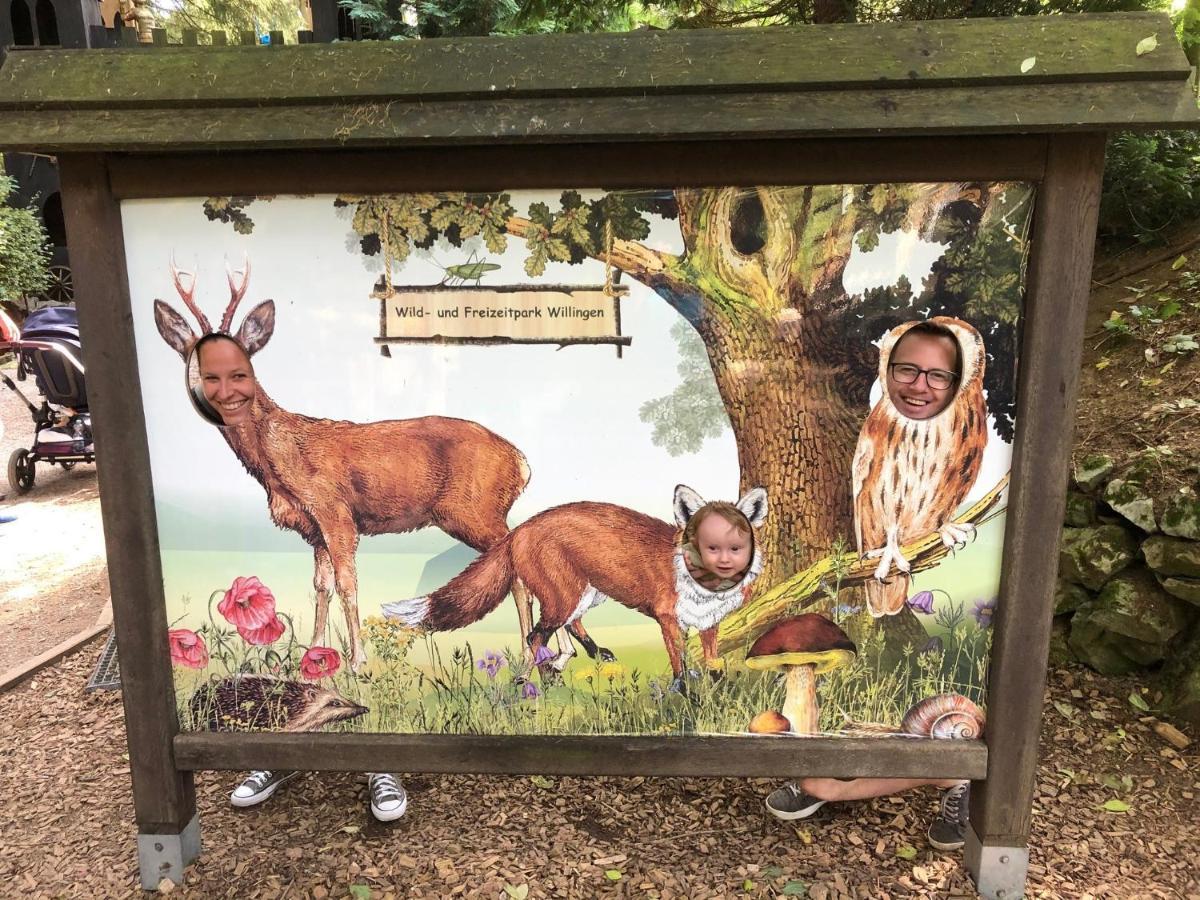 Diemelsee Sauerlandholidayヴィラ エクステリア 写真