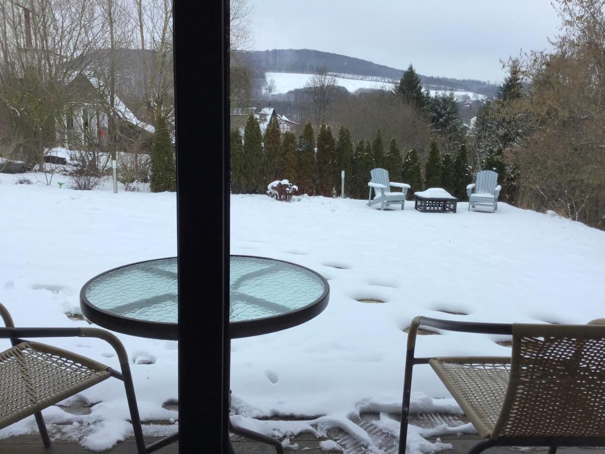 Diemelsee Sauerlandholidayヴィラ エクステリア 写真