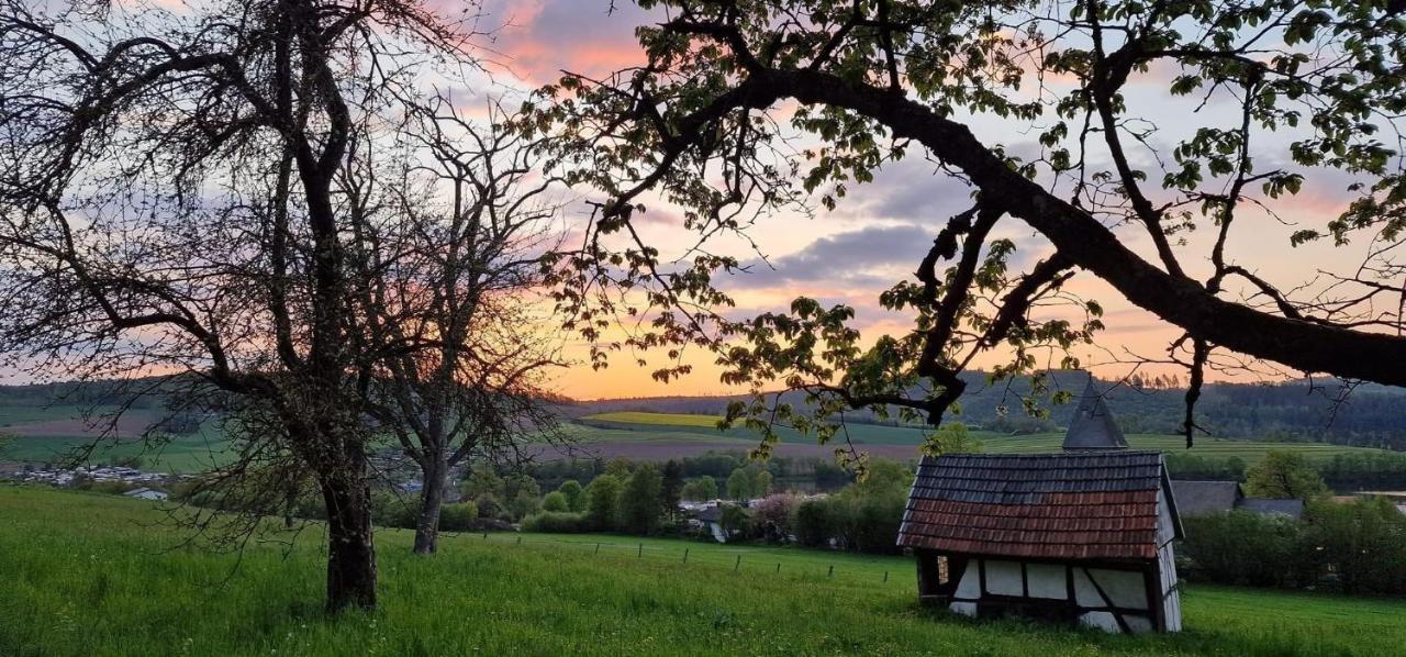 Diemelsee Sauerlandholidayヴィラ エクステリア 写真